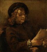 REMBRANDT Harmenszoon van Rijn Titus van Rijn, reading oil painting reproduction